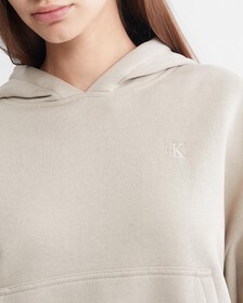 Archive Logo Fleece Hoodie, Plaza Taupe, hi-res