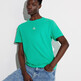Aqua Green