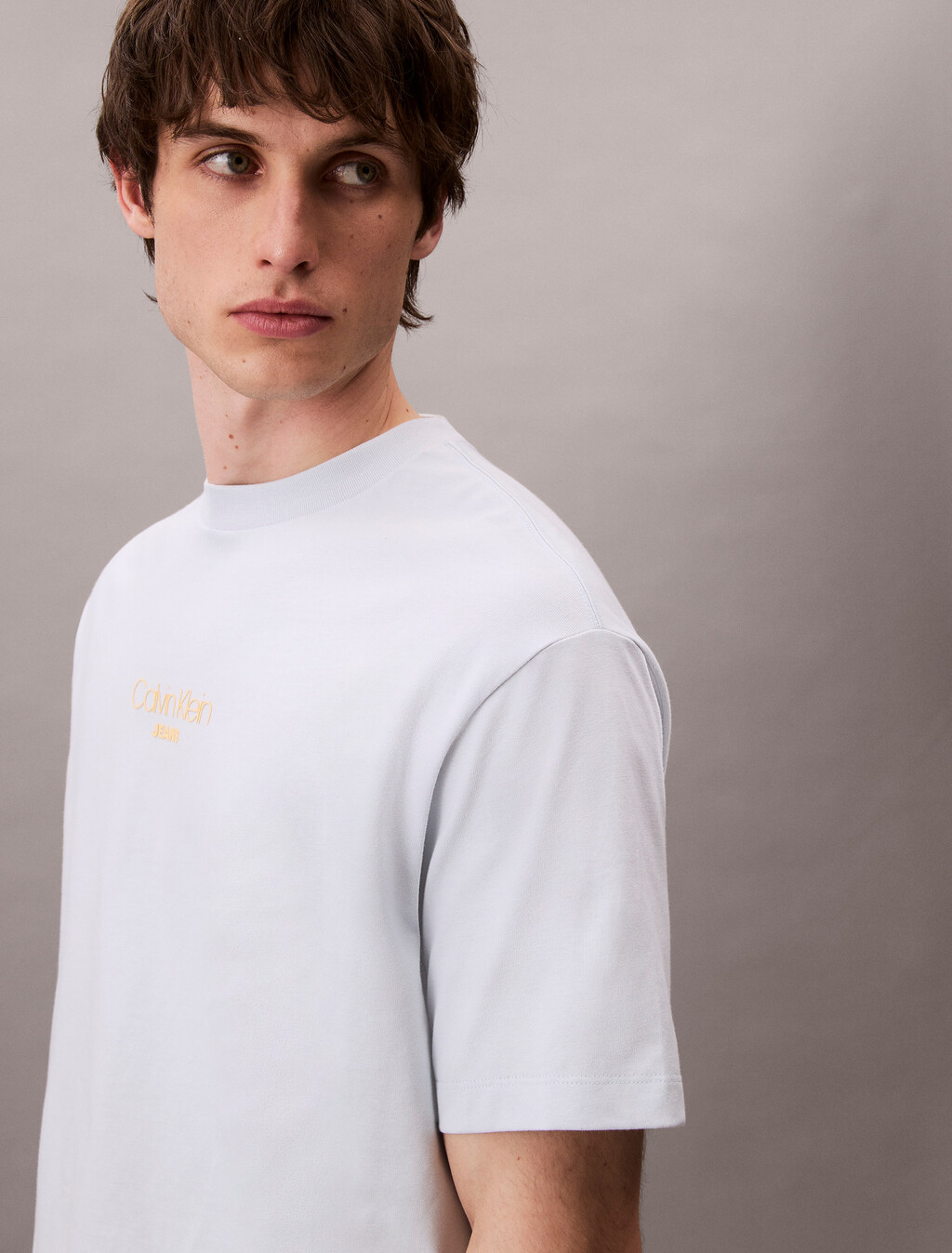 Logo Graphic Relaxed T-Shirt, Plein Air, hi-res