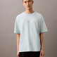 Harbor Gray