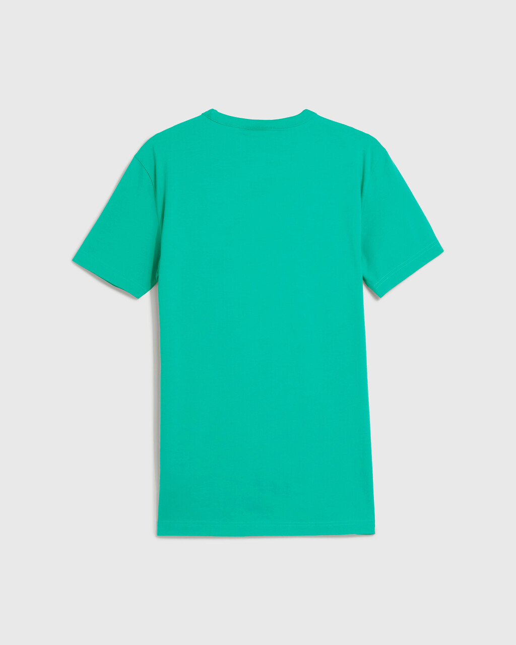 PRIDE CAPSULE TEE, Aqua Green, hi-res