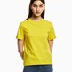 Dune Yellow
