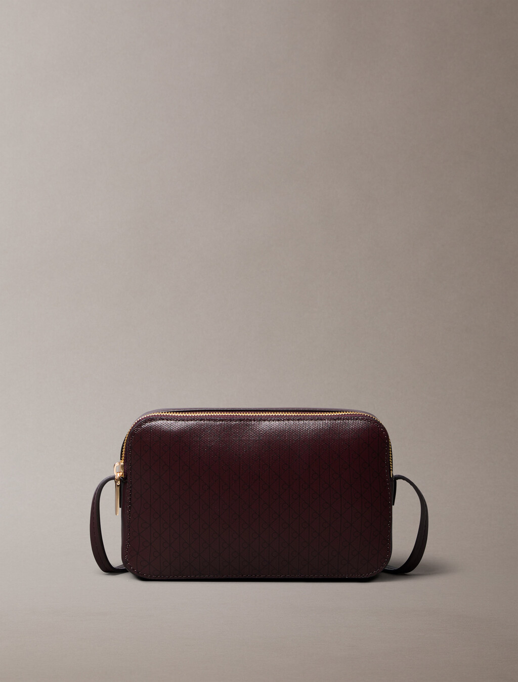 Allover Monogram Logo Camera Bag, FUDGE AOP, hi-res