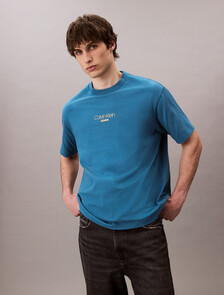 Logo Graphic Relaxed T-Shirt, Bluesteel, hi-res