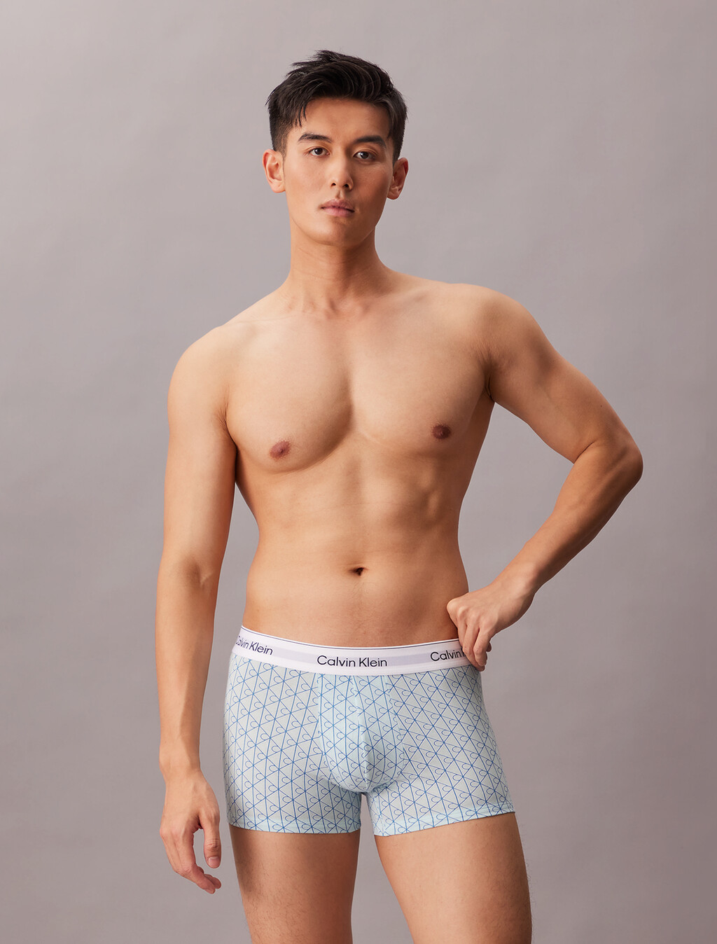 Icon Cotton Stretch Trunks 2 Pack, Misty Grey/ICON COTTON EMBLEM NIAGRA MIST, hi-res