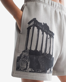 Standards Ruins Graphic Fleece Shorts, Grey Dawn, hi-res