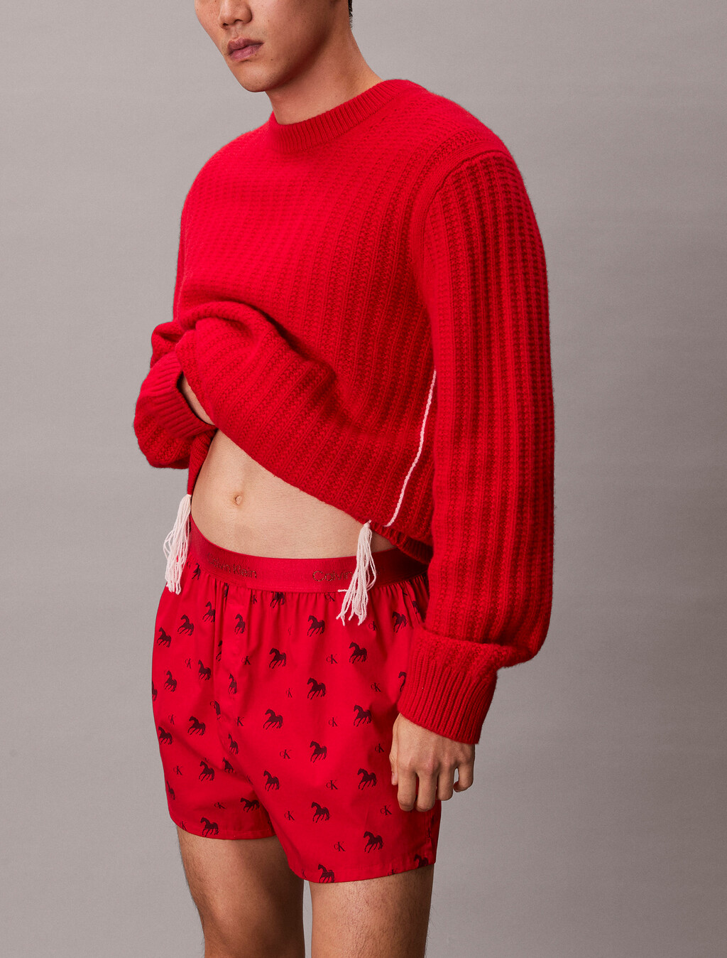 農曆新年修身四角內褲, Untamed Horses_Rouge, hi-res