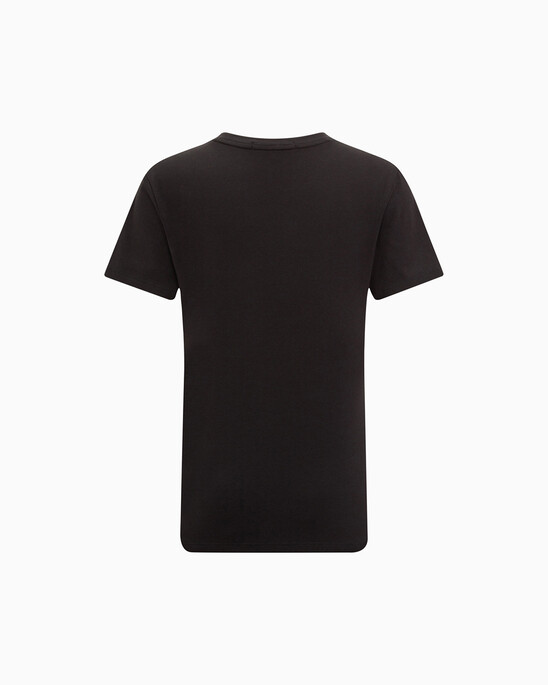 SHRUNKEN INSTITUTIONAL LOGO TEE