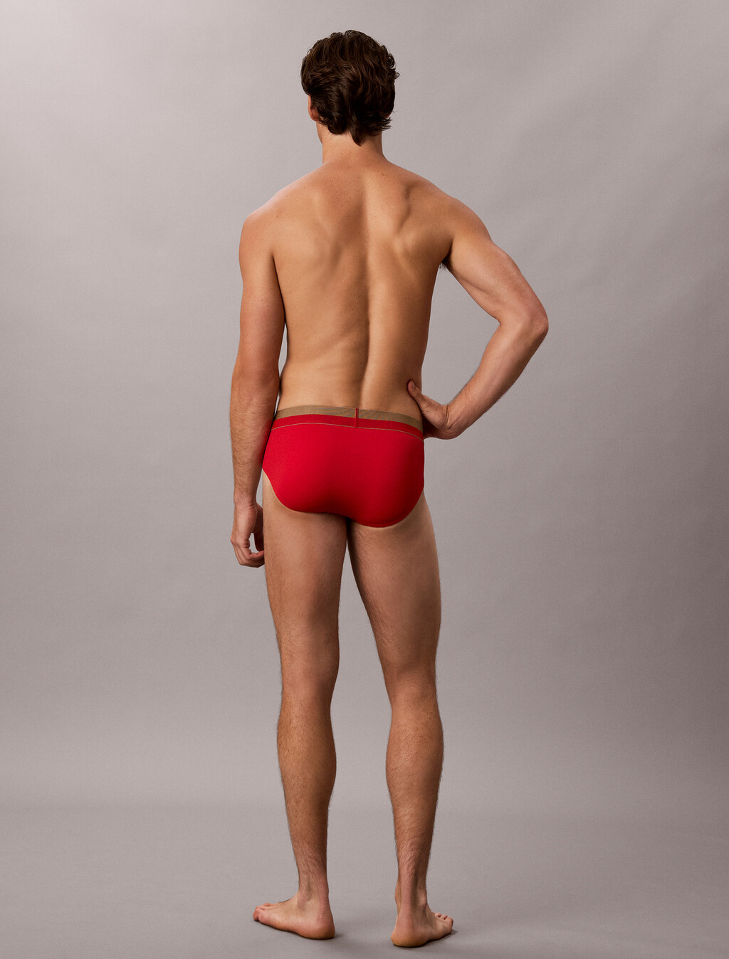 Brushed Microfiber Stretch Metallic Hip Brief, GOJI BERRY W/ BRONZE WB, hi-res