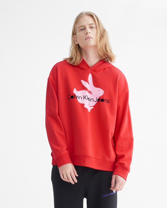 Year Of The Rabbit Hoodie