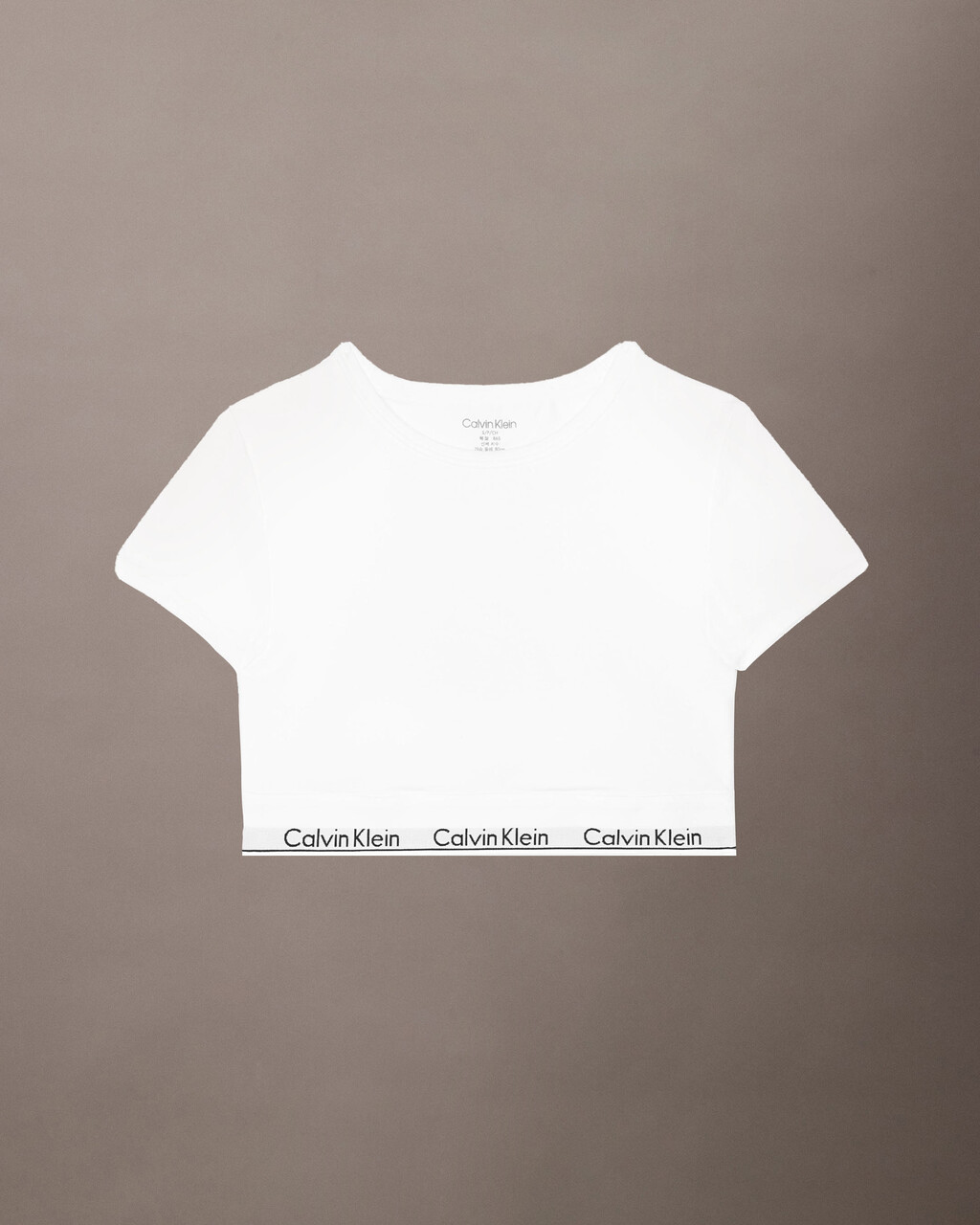 MODERN COTTON 無鋼圈 T 裇胸圍, White, hi-res