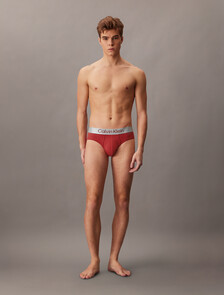Brushed Micro Jersey Hipster Brief, Red Stamp, hi-res
