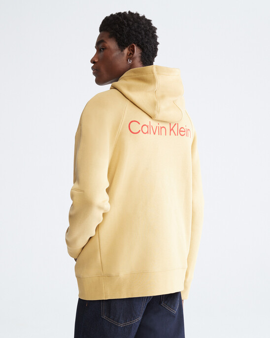 STANDARDS TERRY EMBRACE GRAPHIC HOODIE