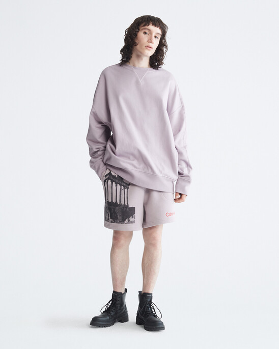 Standards Ruins Graphic Fleece Shorts