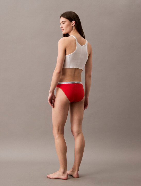 Modern Logo Bikini Briefs