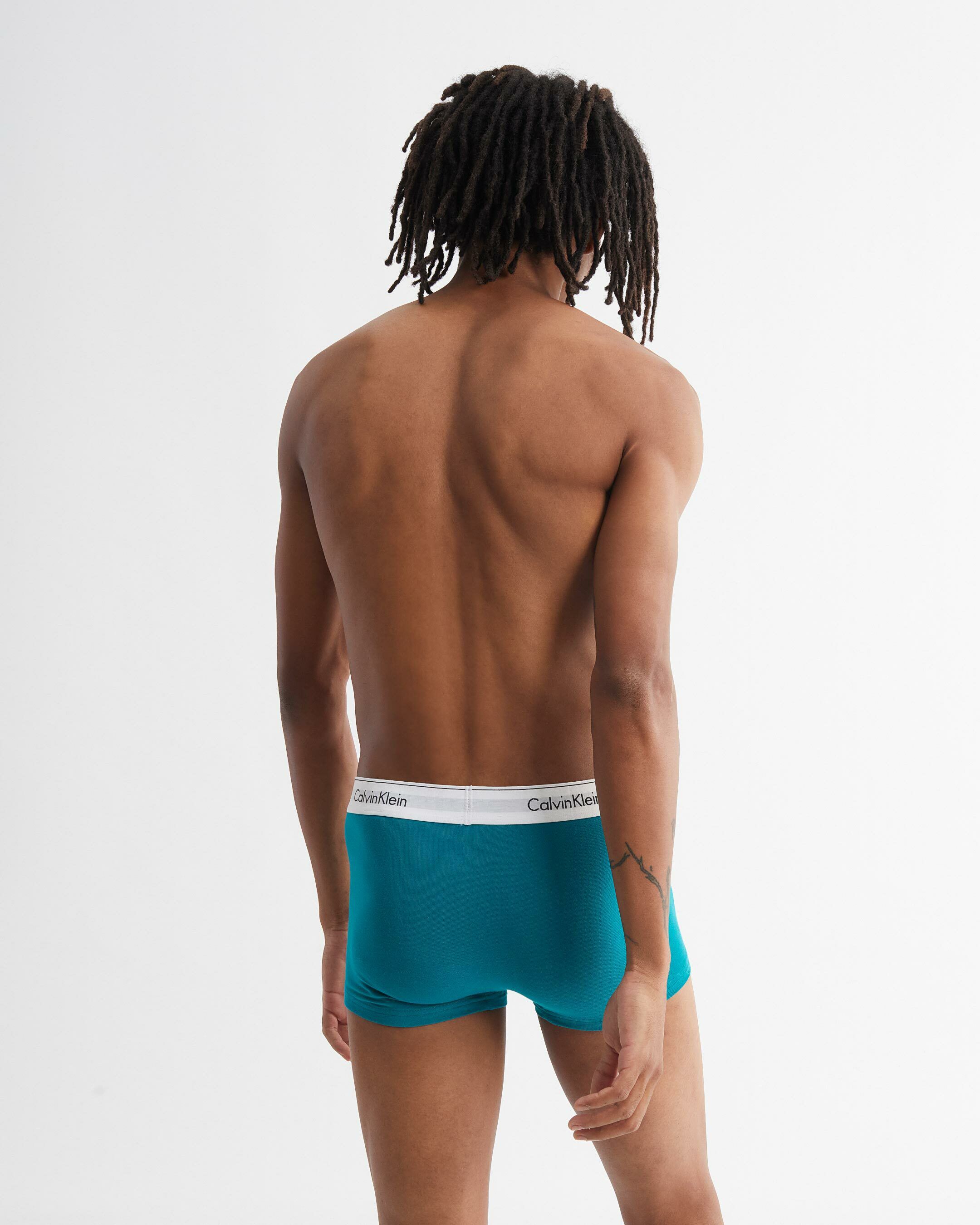 Modern Cotton Stretch Trunks 2 Pack multi Calvin Klein Hong Kong