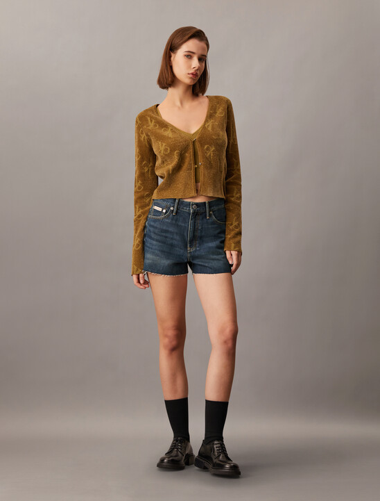 High Rise Denim Shorts