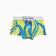 IRIDESCENT PRINT CITRINA