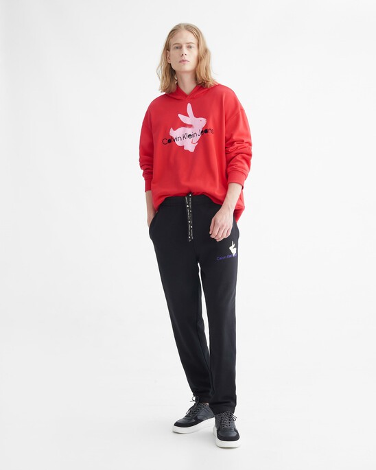 Year Of The Rabbit Hoodie