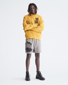 Standards Ruins Graphic Fleece Shorts, Grey Dawn, hi-res