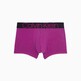 Plump Plum