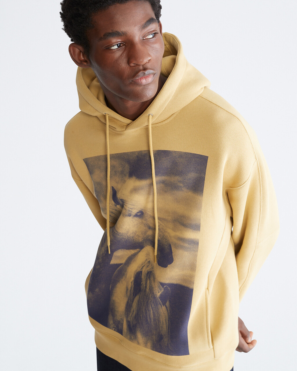 STANDARDS TERRY EMBRACE GRAPHIC HOODIE, Fresh Sproat, hi-res