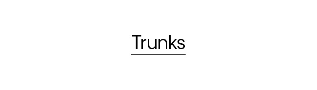 Calvin Klein FNF Trunk